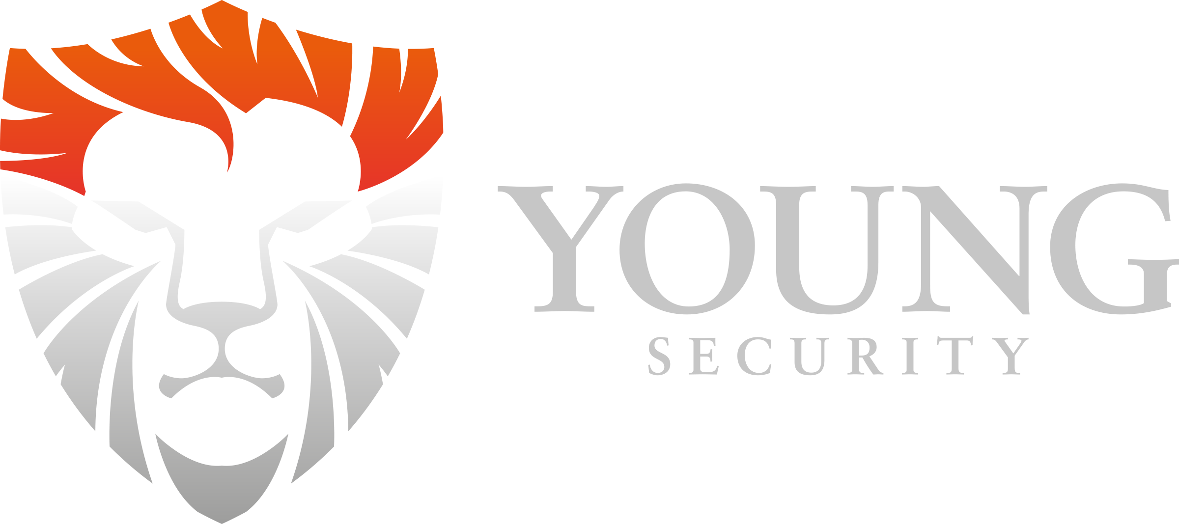 LOGO_YOUNG_SECURITY_CORPORATE_Landscape_DIA_RGB